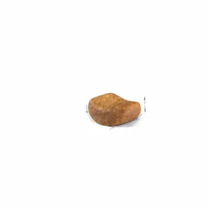 british royalcanin food