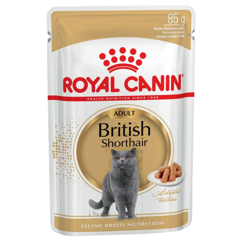 غذای پوچ گربه رویال کنین بریتیش گروی ROYAL CANIN BRITISH SHORTHAIR GARVY 85G - Image 1