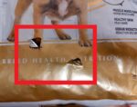 غذای خشک سگ رویال کنین مدل فرنچ بولداگ ROYAL CANIN FRENCH BULDOG ADULT 3KG(مخدوش) - Image 2
