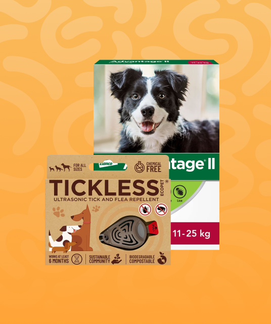 pet dog health flea and tick