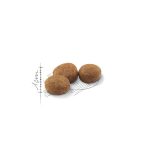 غذای خشک گربه رویال کنین مدل استرلایزد  10 KG - Image 2