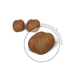 غذای خشک گربه دنتال کر رویال کنین 1.5کیلوگرم - Image 2