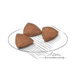 غذای خشک سگ رویال کنین مینی ایندور ادالت 1.5 کیلوگرم - Image 2