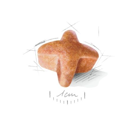 دانه ژرمن ادالت
