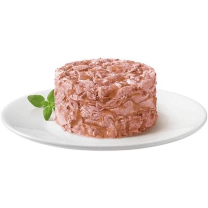 پته ای طعم ماهی تن1