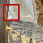 غذای خشک درمانی گربه رویال کنین کالم 2 کیلوگرم (مخدوش) - Image 2