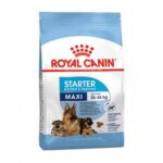 غذای خشک سگ رویال کنین مدل ماکسی استارترROYAL CANIN MAXI STARTER 15 KG