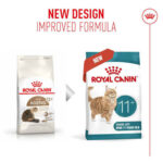 غذای خشک گربه رویال کنین ایجینگ11+ ROYAL CANIN AGEING 2KG - Image 4