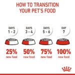 غذای خشک گربه رویال کنین بریتیش ادالت ROYAL CANIN BRITISH SHORTHAIR ADULT 2KG - Image 3
