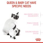 غذای خشک بچه گربه رویال کنین مادراندبیبی ROYAL CANIN MOTHER AND BABY 4KG - Image 4