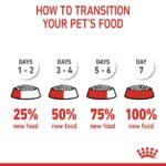 غذای خشک سگ رویال کنین مدل ایکس اسمال ادلت ROYAL CANIN X_ SMALL ADULT 3 KG - Image 3