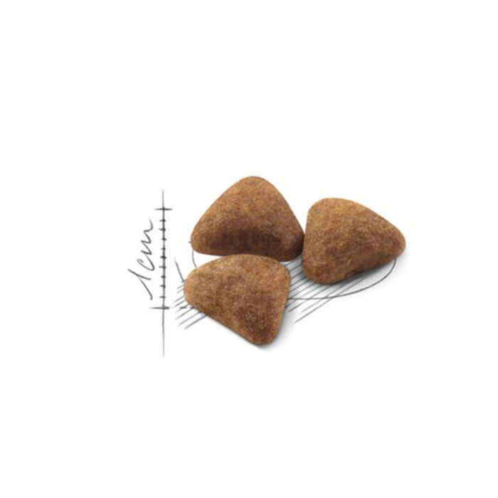 غذای خشک گربه رویال کنین ایندور ROYAL CANIN INDOOR 10KG - Image 2