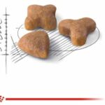 غذای خشک گربه رویال کنین سنسیبل ROYAL CANIN SENSIBLE 2KG - Image 2