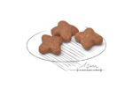 غذای خشک سگ رویال کنین مدل مینی ادالت+8 ROYAL CANIN MINI ADULT+8 - 2KG - Image 2