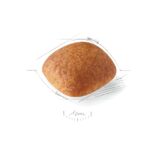 غذای خشک سگ رویال کنین گلدن رتریور ادالت ROYAL CANIN GOLDEN RETRIVER ADULT 12KG - Image 2