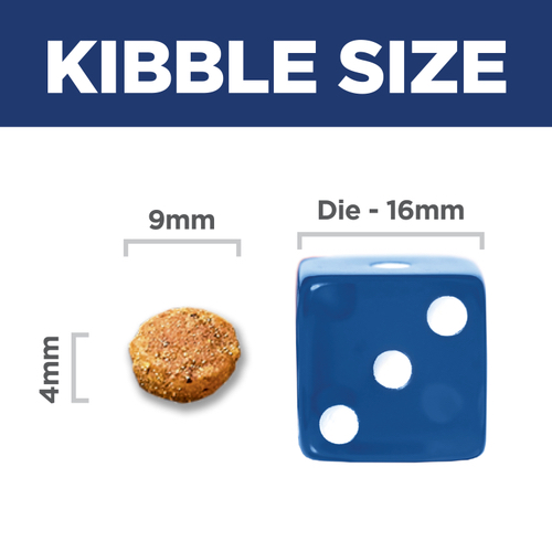 IMG 5899.png